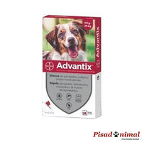 Pipetas Advantix Antiparasitarias para Perros Adultos